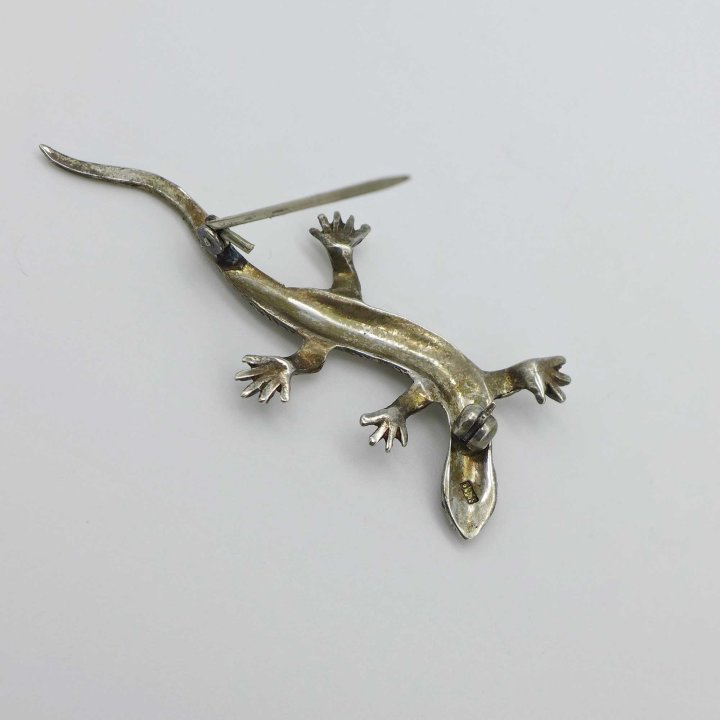 Salamander with marcasite