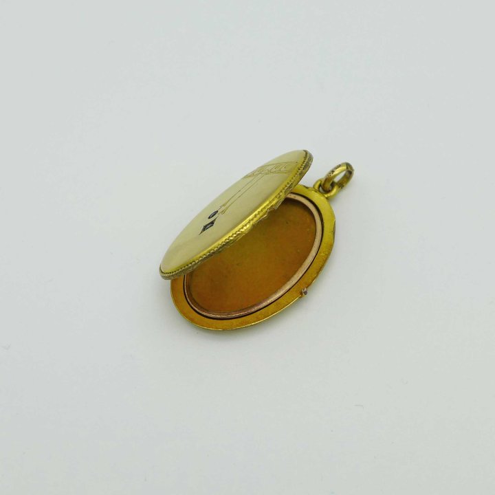 Oval Art Nouveau Medallion in Gold Doublé