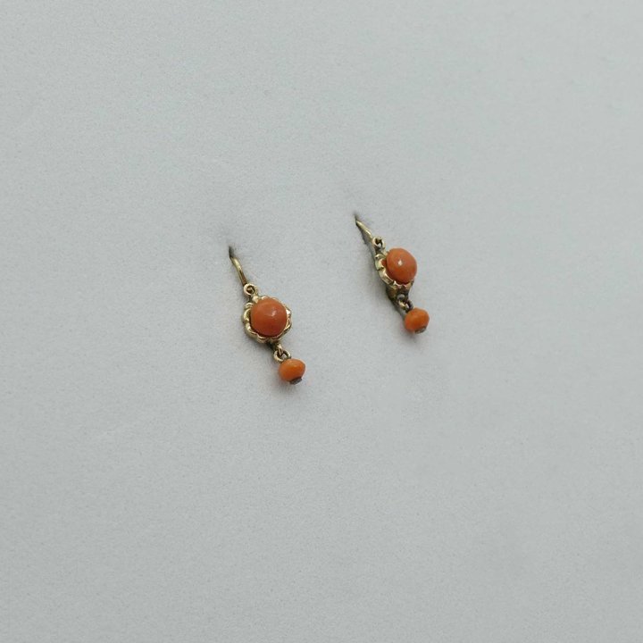 Small coral earrings in rose gold